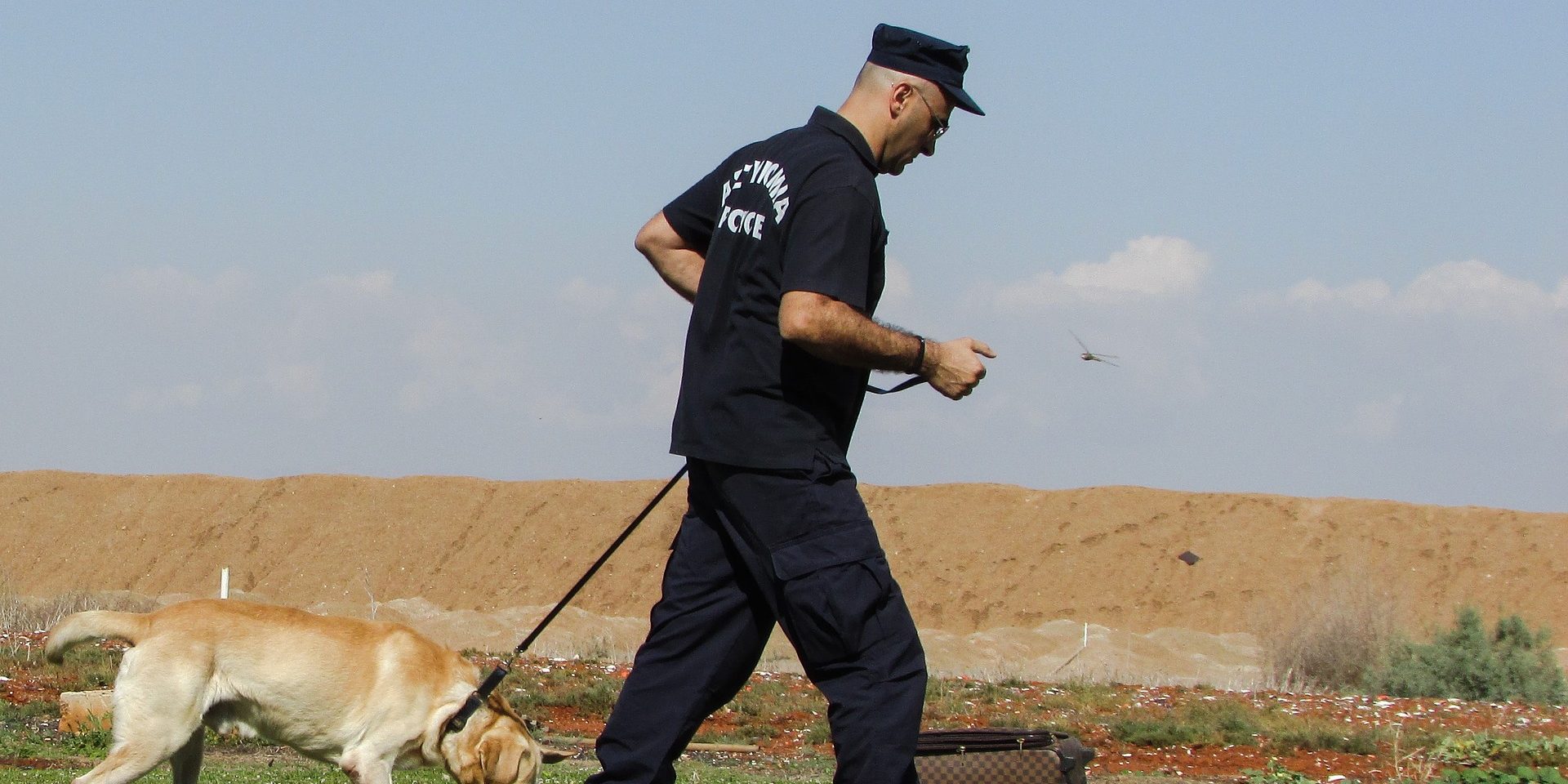 police-dog-1761871_1920