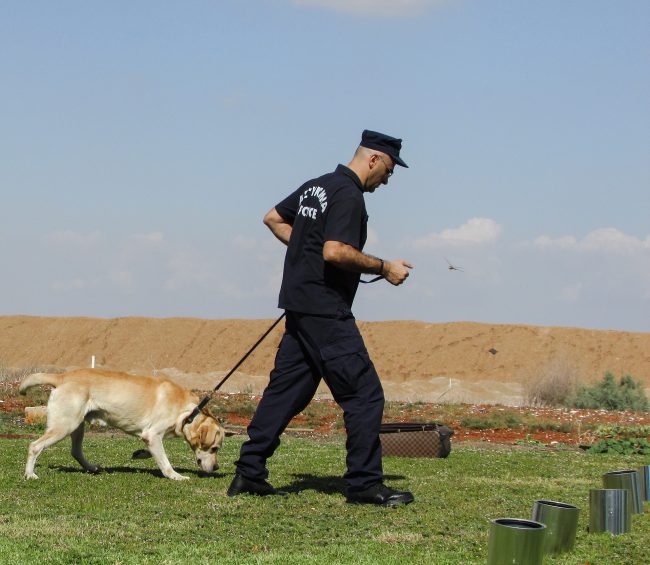 police-dog-1761871_1920