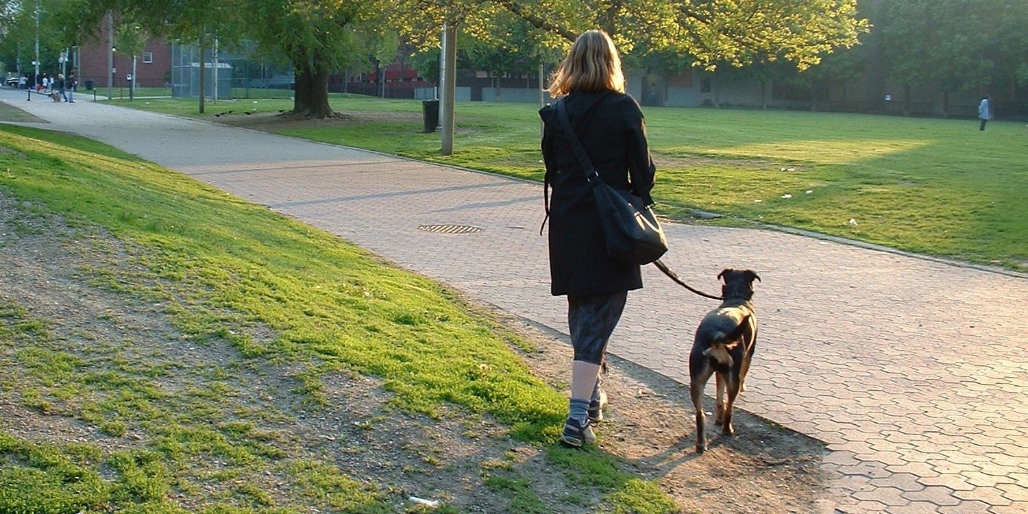 Женщина выгуливает собаку